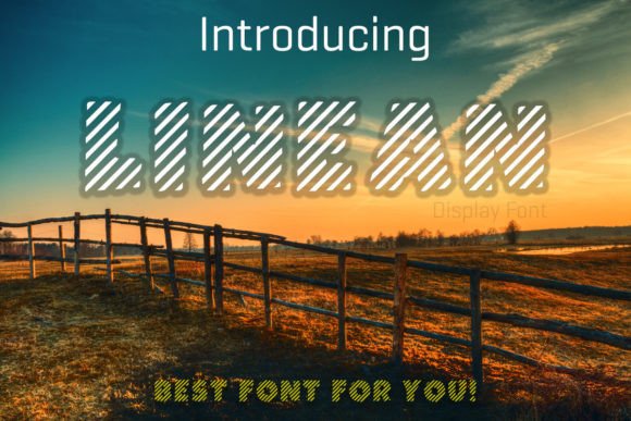 Linean Font: Elevate Your Small Business Branding